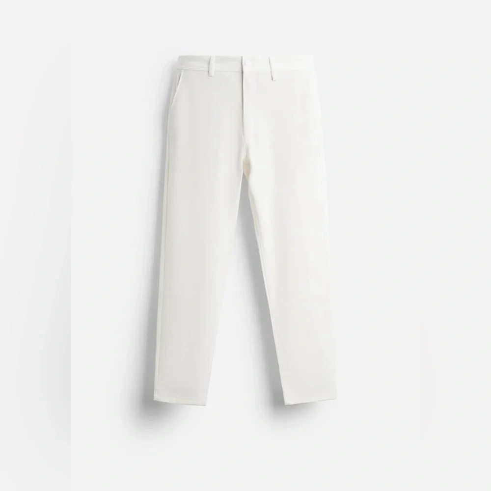 Zara great pants